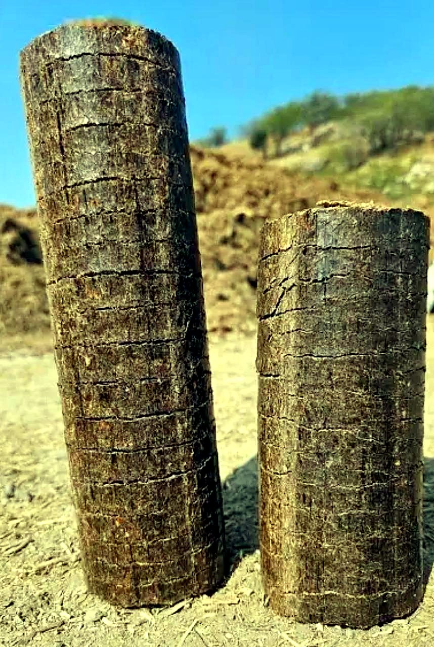 Eucalyptus biomass briquettes